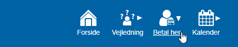 Et billede, der indeholder tekst, skærmbillede, Font/skrifttype, GrafikAI-genereret indhold kan være ukorrekt.